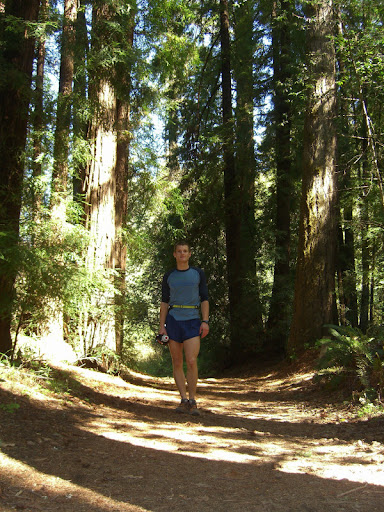 Me amongst redwoods