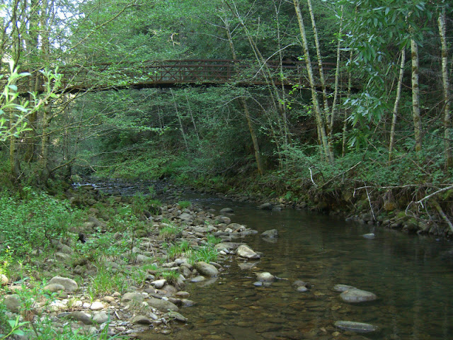 Bridge across Waddell Creek