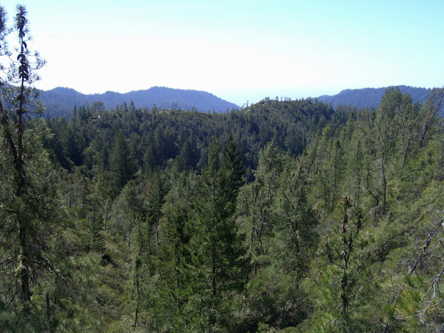 McCrary Ridge with trail on the crest