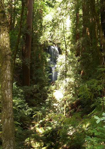 Berry Creek Falls