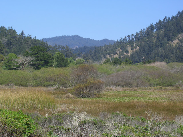 View of McCrary Ridge from Rancho del Oso/Waddell Beach