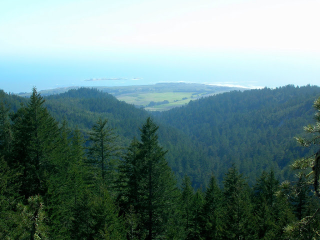 Ano Nuevo from Chalk Mountain