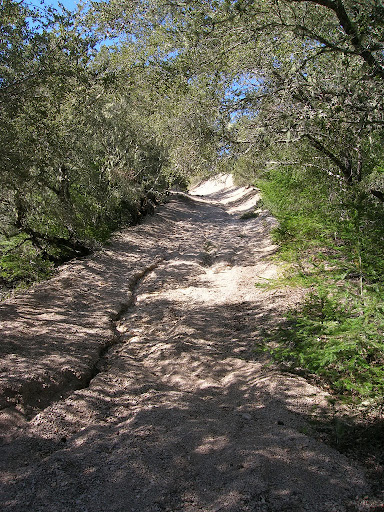 It looks steep, but it was actually steeper!