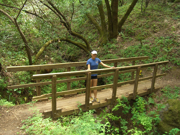 One of the many bridges on the trail