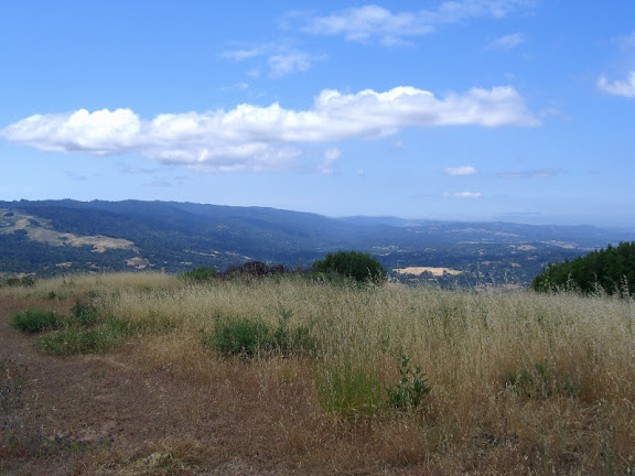 Great vista