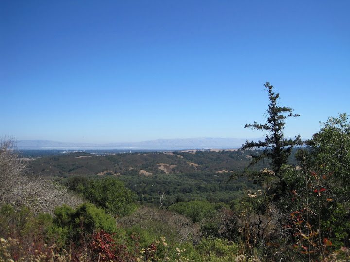 View from the Schilling Lake Trail