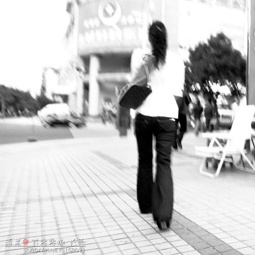 你从未来来.jpg
