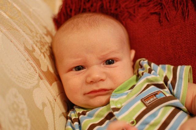 [DSC_0040[3].jpg]