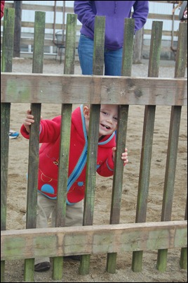 Fall 2010 517