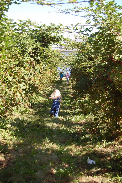[Summer Picking 2010 001[4].jpg]