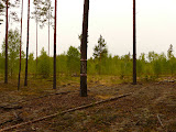 P1080587.JPG