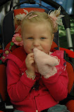 DSC_0054.JPG