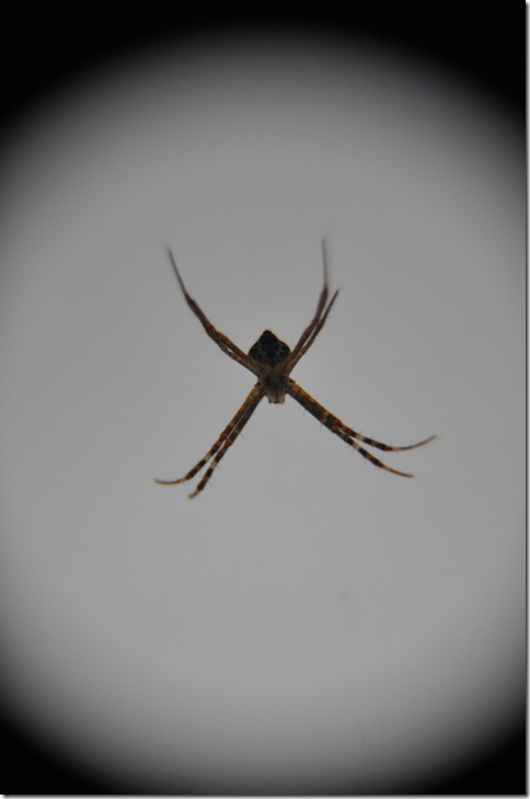 DSC_0276 DSC_0276