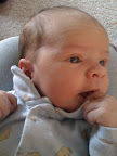Little Thinker--Took this quick photo today while she was sitting in my lap. She spends a remarkable amount of time awake for just being ten days old.