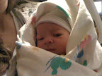A close up of Audrey just after birth. She is still less than an hour old.