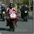 Easter Egg Run 2009 - Album 4