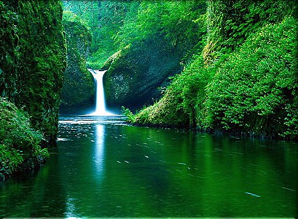 [230399,xcitefun-waterfall-green-land[3].jpg]