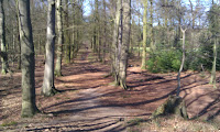 IMAG0044.jpg Photo