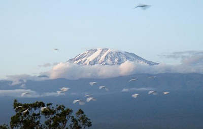 Mt.-Kilimanjaro