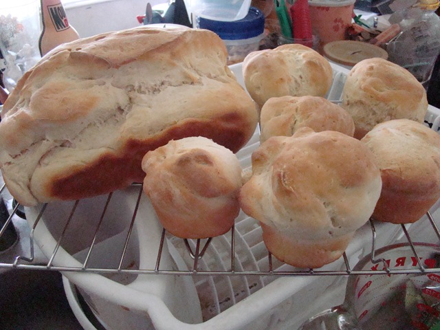 [DSC072554.jpg]