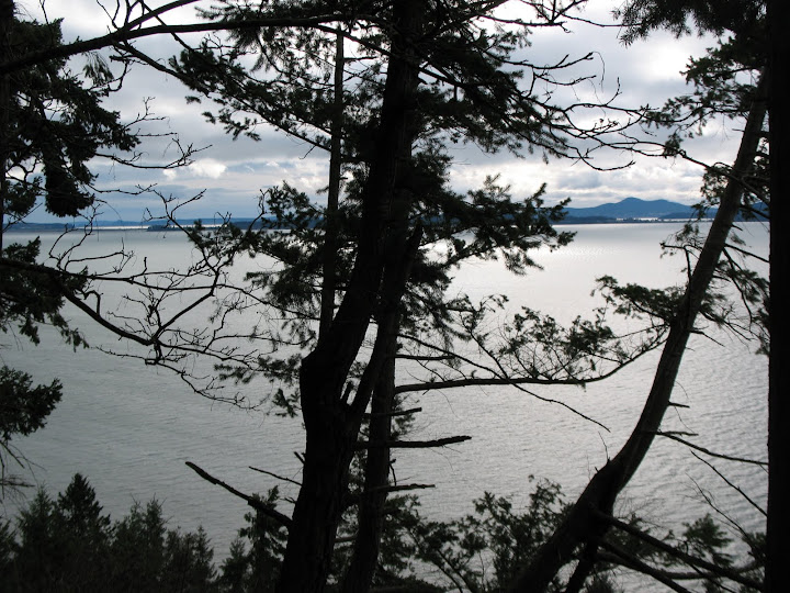 Chuckanut Drive