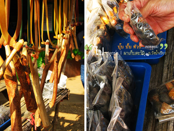 ผาเก็บตะวัน