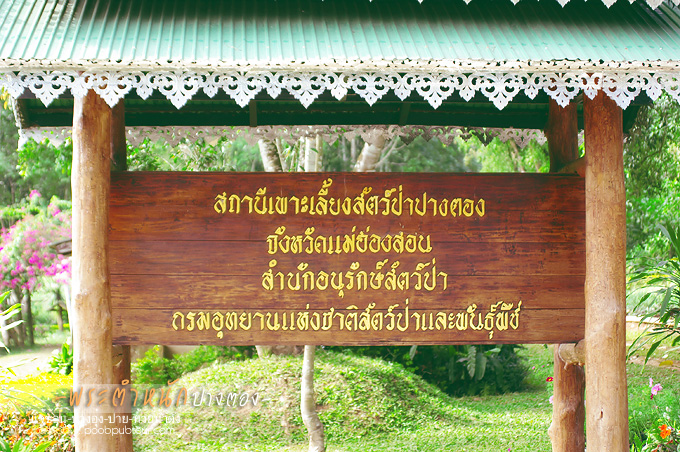 IMGP7177_s.jpg