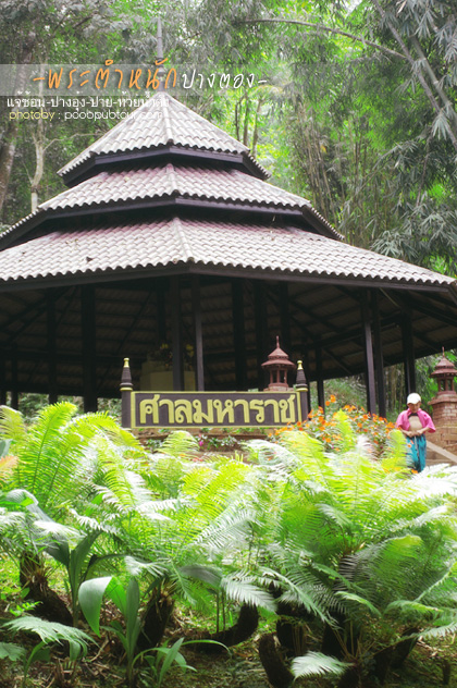IMGP7166_s.jpg