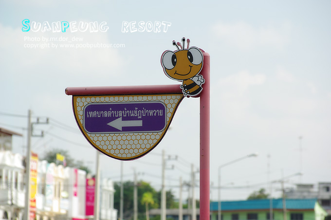 IMGP8247_s.jpg