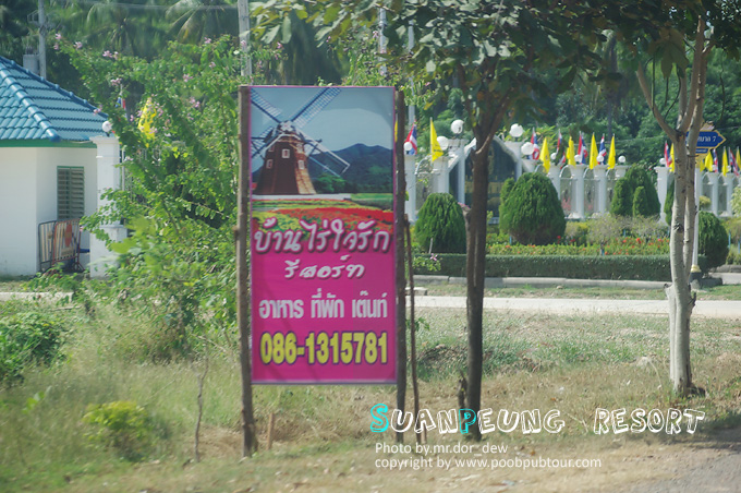 IMGP8276_s.jpg