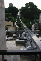 IMG_5321.JPG