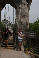 IMG_5393.JPG