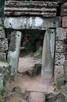 IMG_4376.JPG