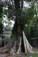 IMG_4401.JPG