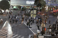 IMG_7085.JPG