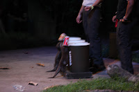 IMG_6229.JPG