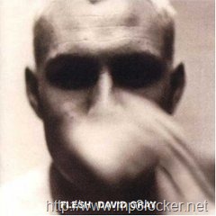 [Flesh_David_Gray[2].jpg]