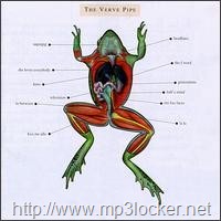 [Verve_pipe_self_titled_album[3].jpg]