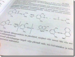 Pilt091