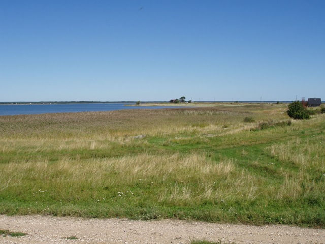[P8210109[2].jpg]
