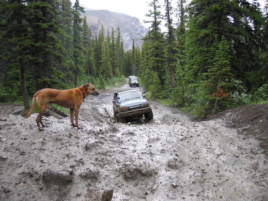 stampede%20027.jpg