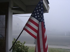 fog 005