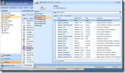crm attributes