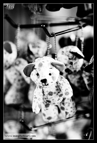 [IMG_6684[3].jpg]