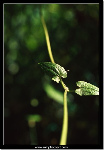 Slide-27