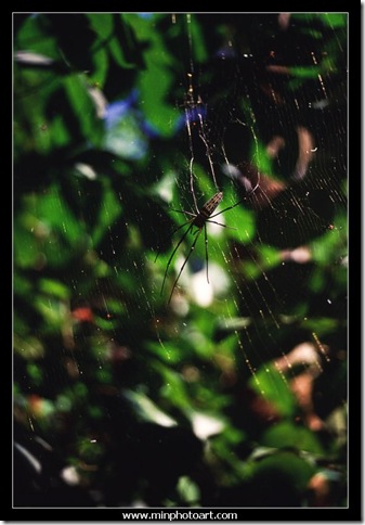 Slide-25