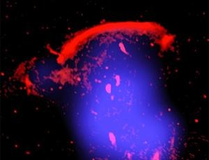 [ondas de choque geradas pela colisão de galáxias[4].jpg]