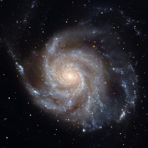 [M101[9].jpg]