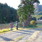 その名も”一本檜とお地蔵様” パワースポットらしいですよ～ん♪