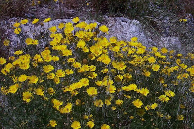 Antimonio Antimonio